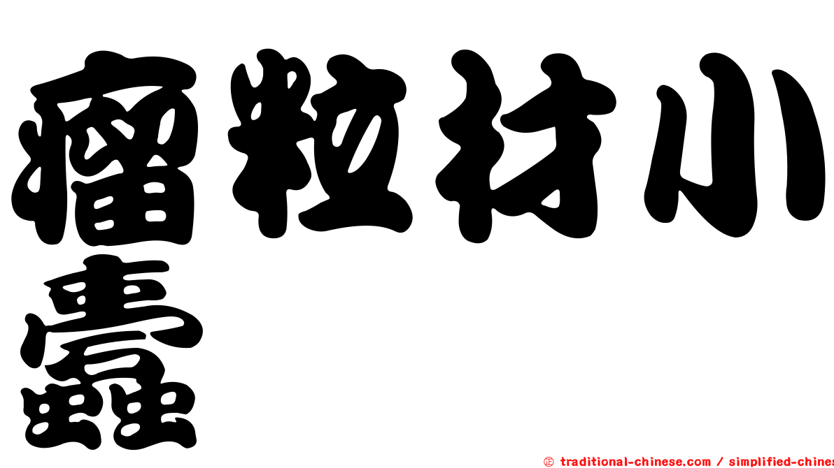 瘤粒材小蠹