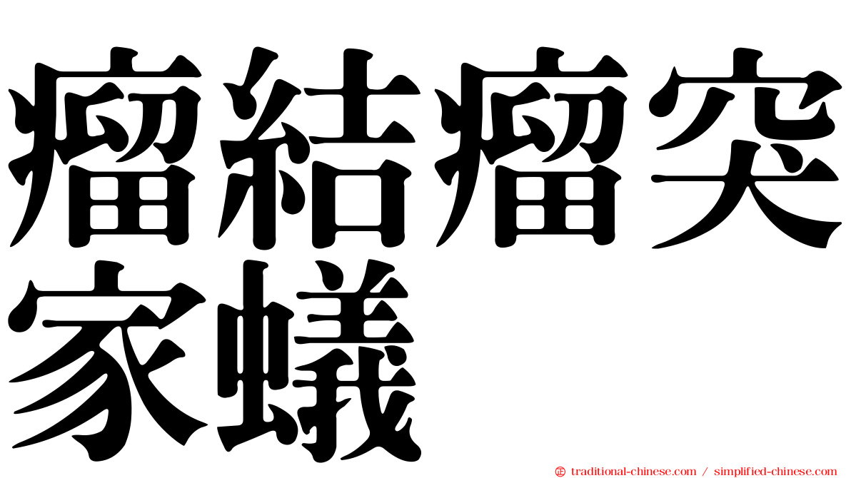 瘤結瘤突家蟻