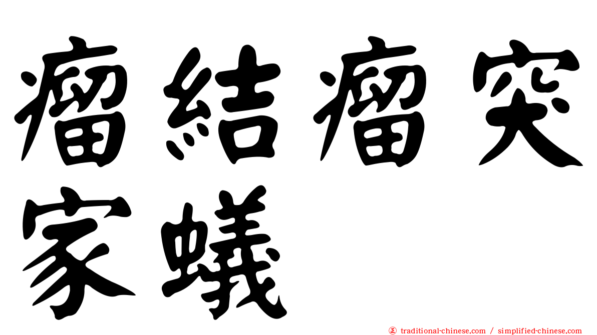 瘤結瘤突家蟻