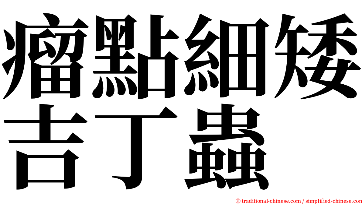 瘤點細矮吉丁蟲 serif font