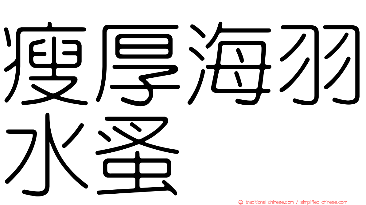 瘦厚海羽水蚤