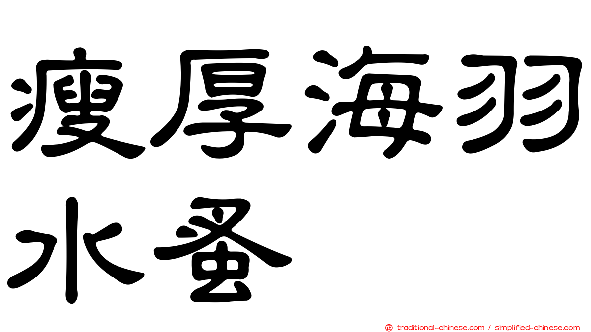 瘦厚海羽水蚤