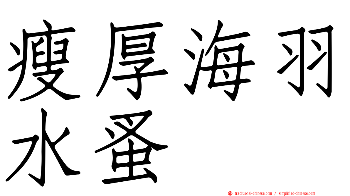 瘦厚海羽水蚤