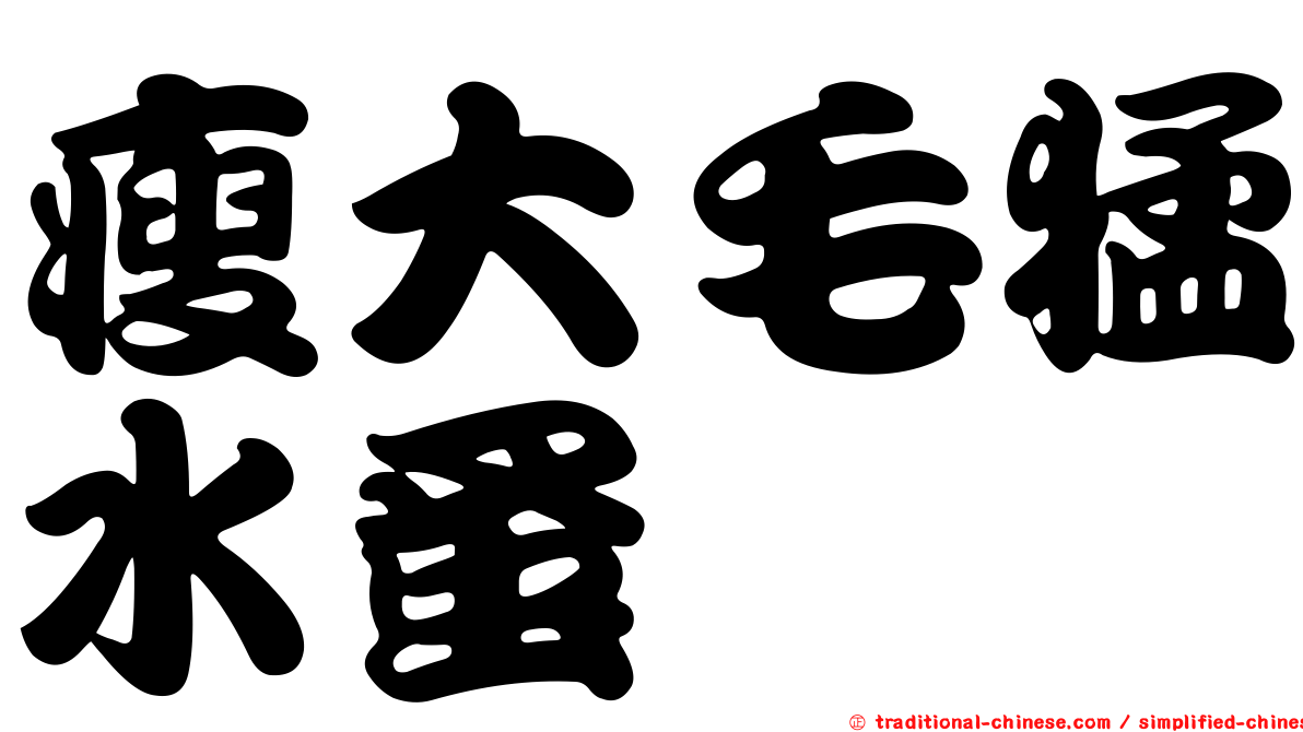 瘦大毛猛水蚤