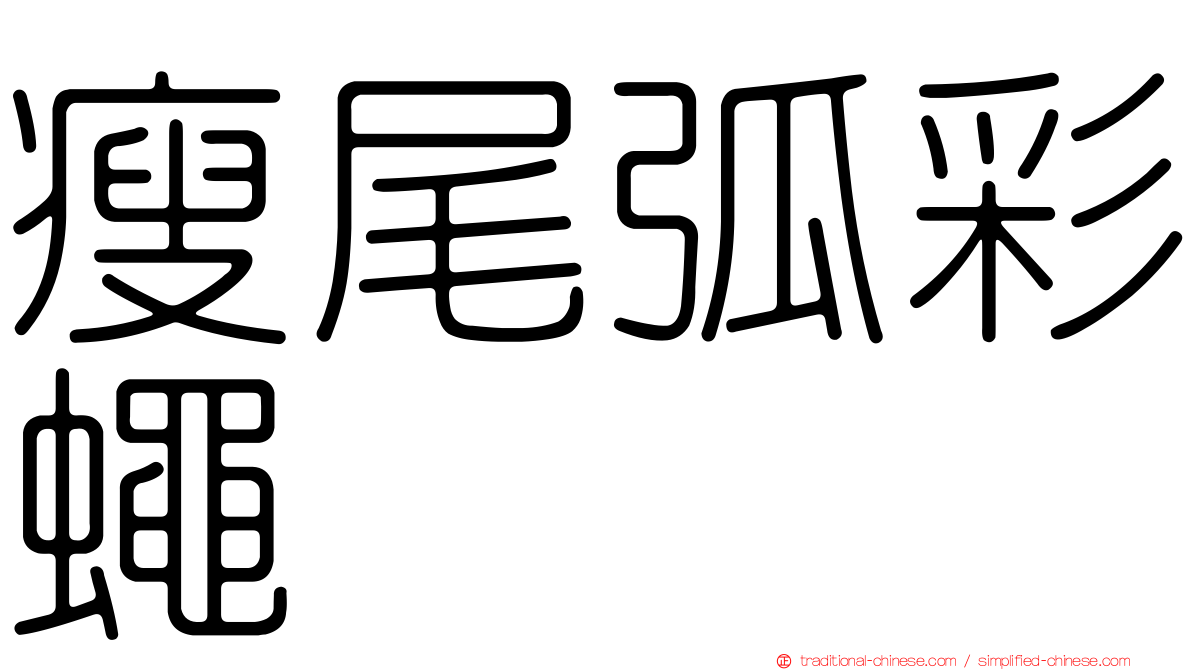 瘦尾弧彩蠅