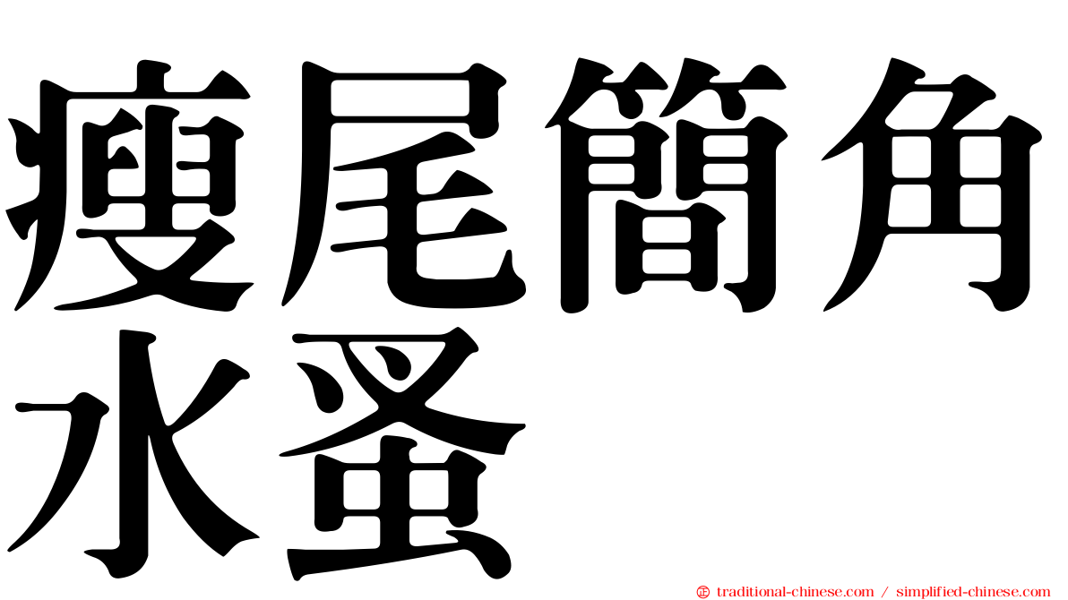 瘦尾簡角水蚤