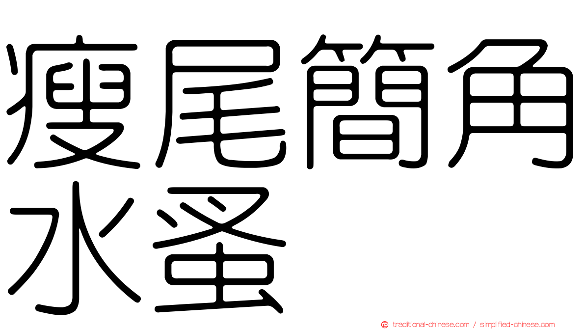 瘦尾簡角水蚤
