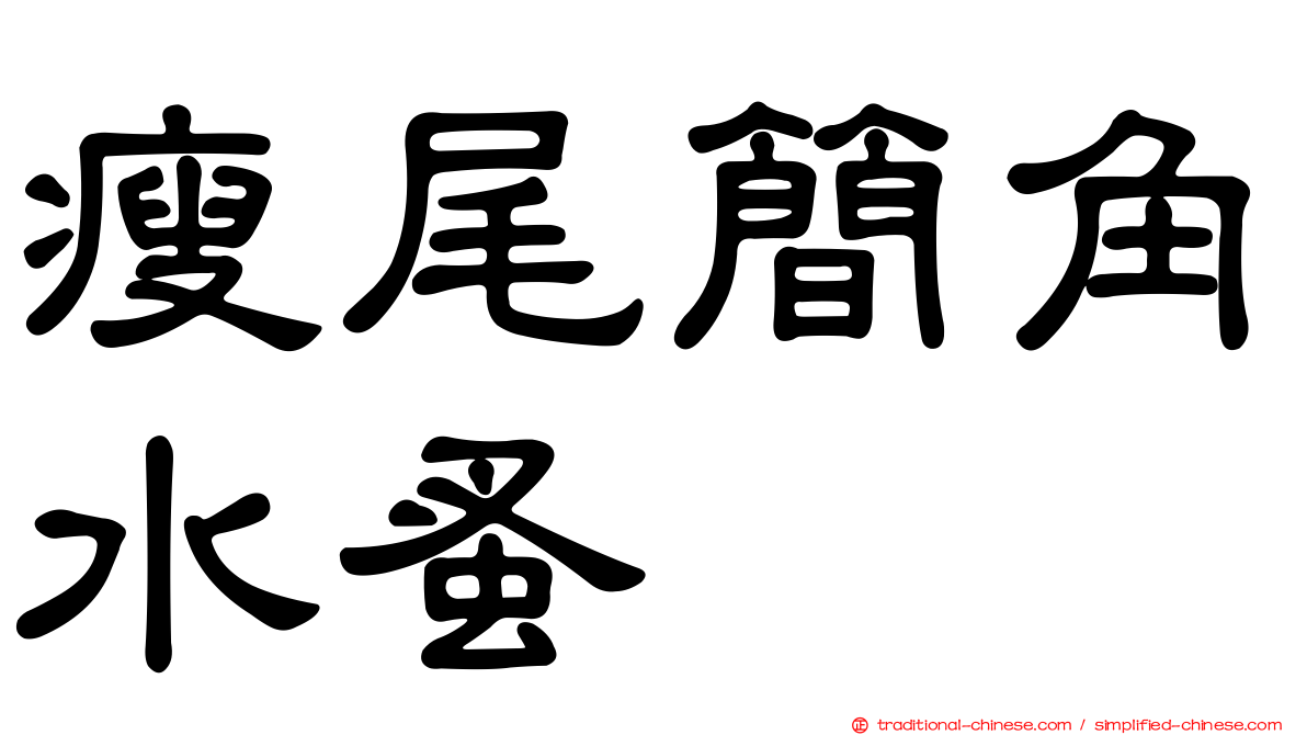 瘦尾簡角水蚤