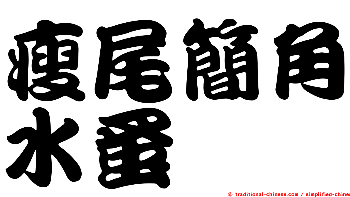 瘦尾簡角水蚤