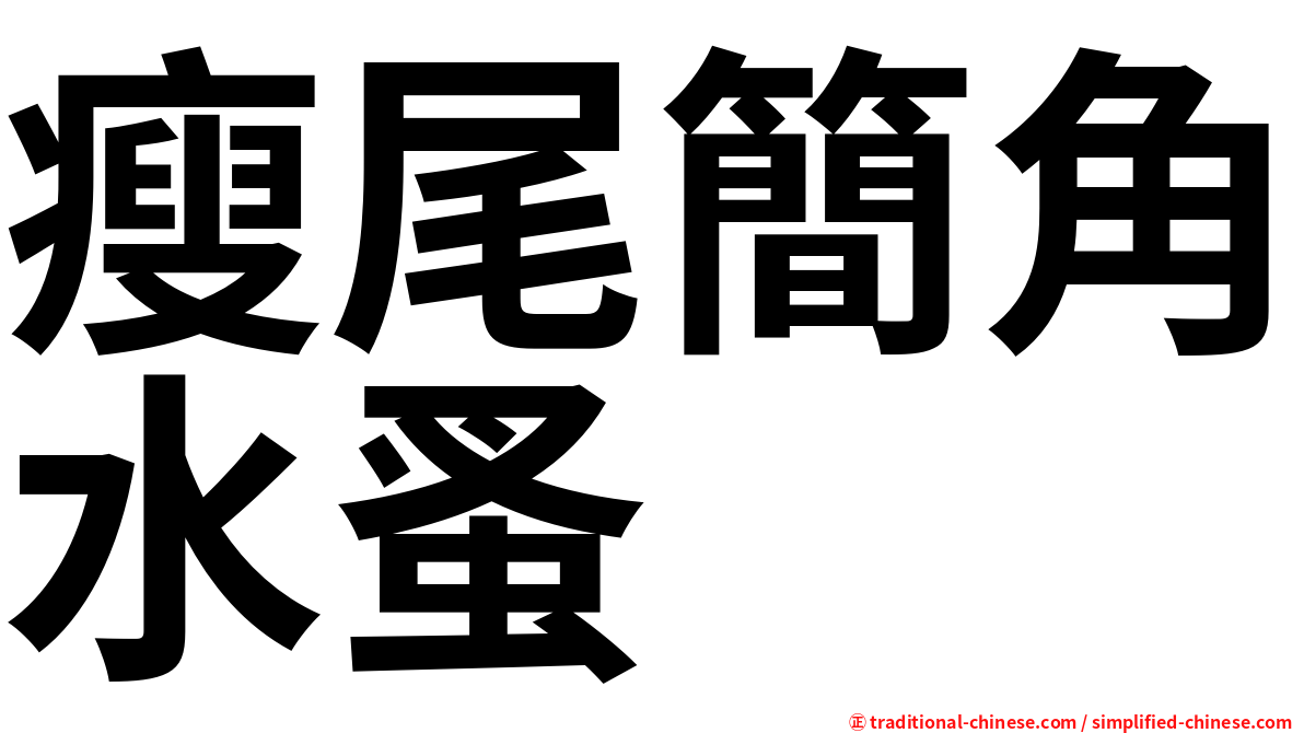 瘦尾簡角水蚤