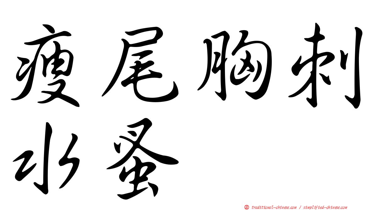 瘦尾胸刺水蚤
