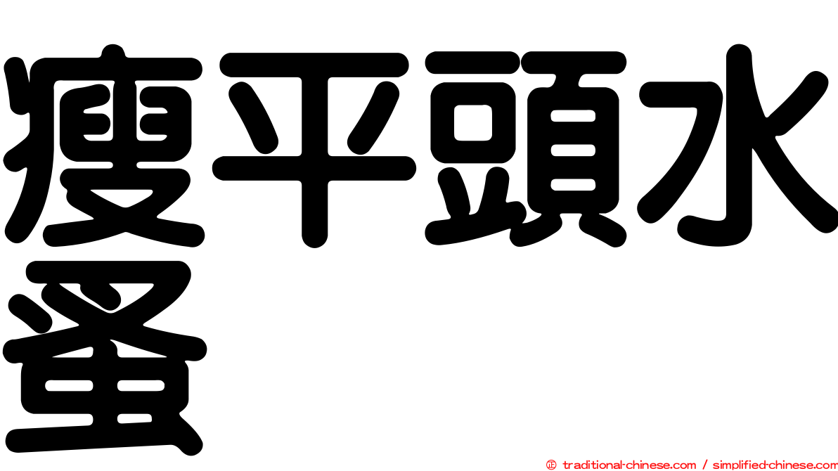 瘦平頭水蚤