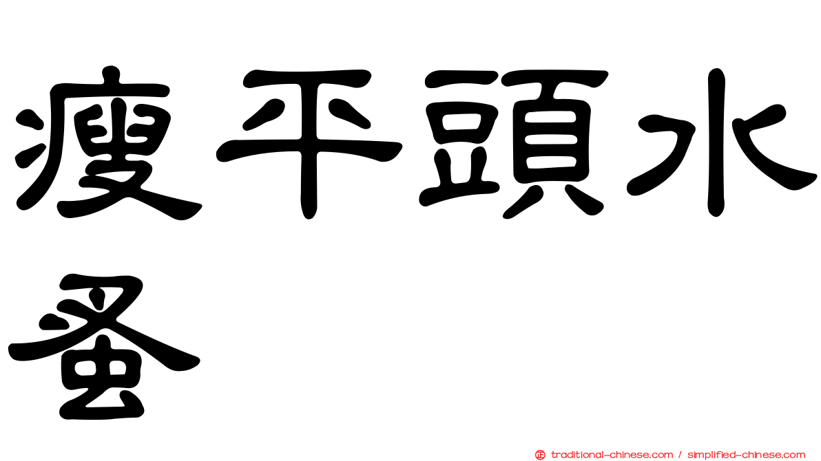 瘦平頭水蚤