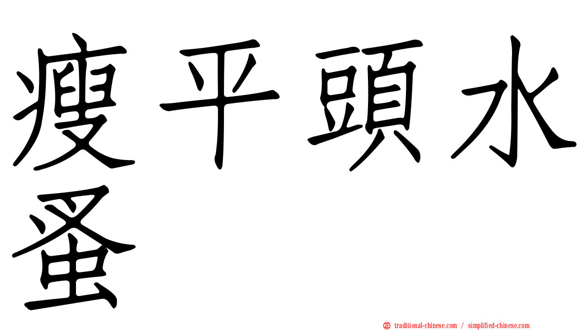 瘦平頭水蚤