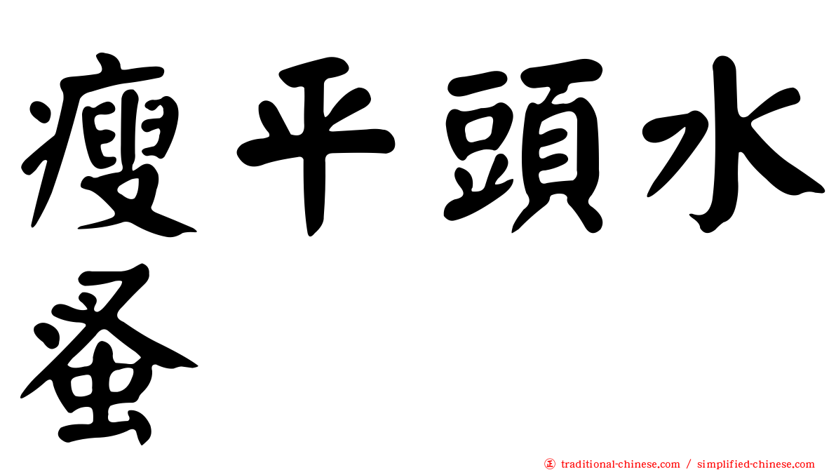 瘦平頭水蚤
