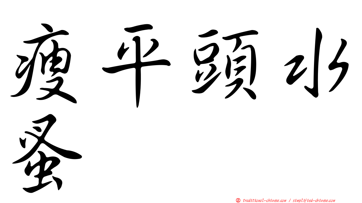 瘦平頭水蚤