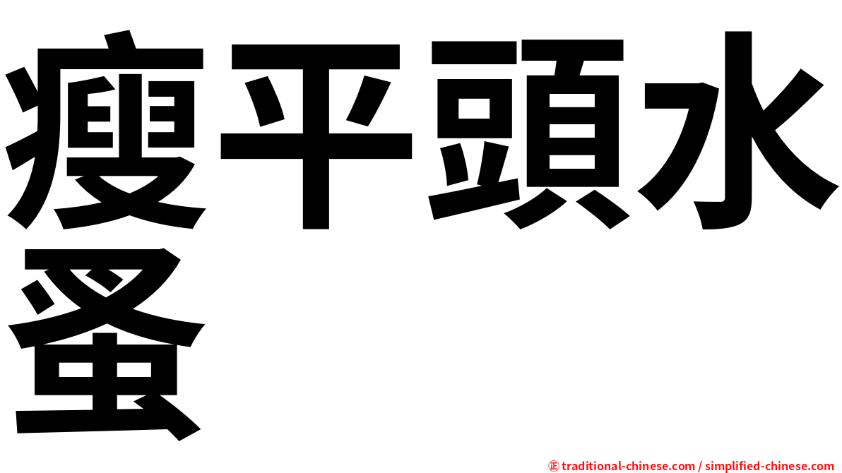 瘦平頭水蚤