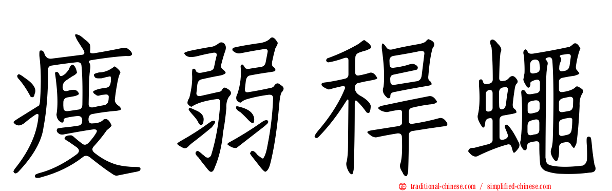 瘦弱稈蠅