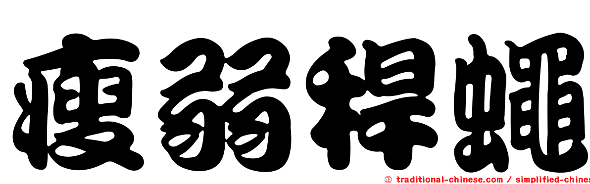 瘦弱稈蠅