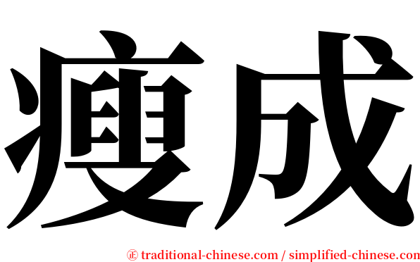 瘦成 serif font