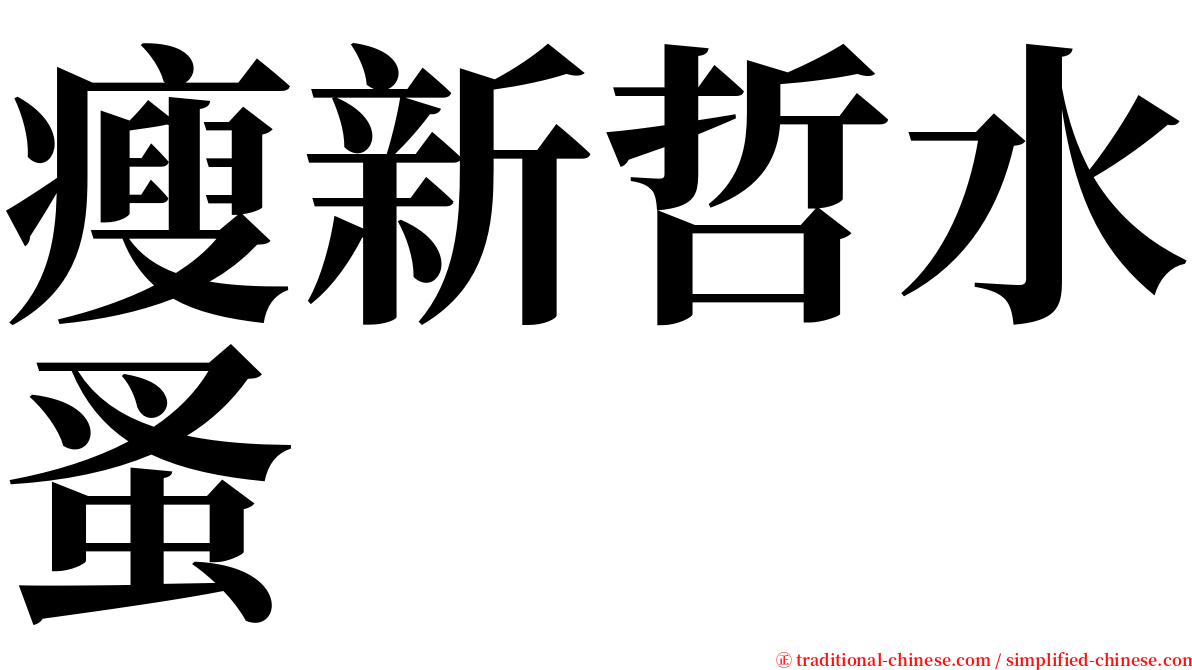 瘦新哲水蚤 serif font