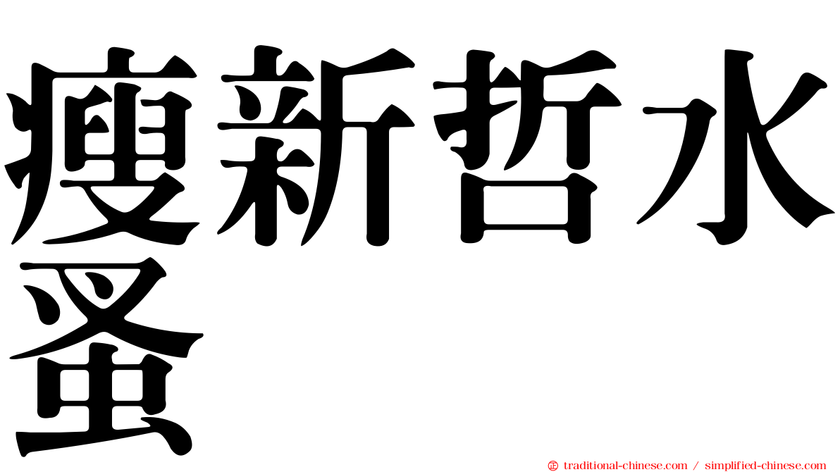 瘦新哲水蚤