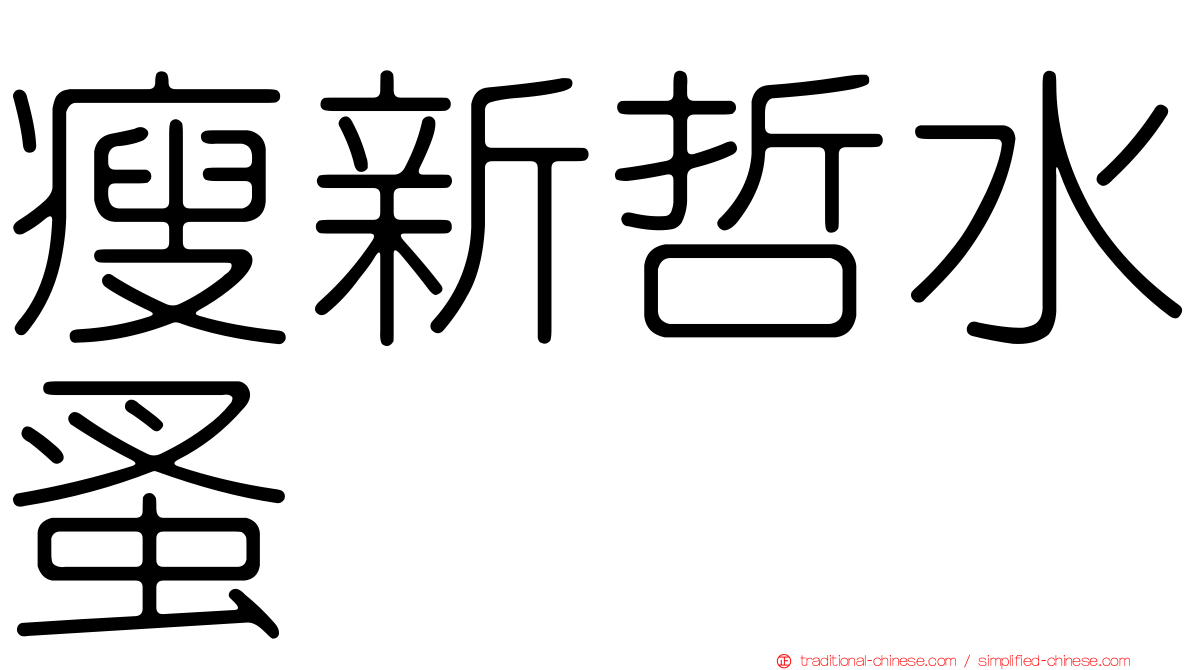 瘦新哲水蚤