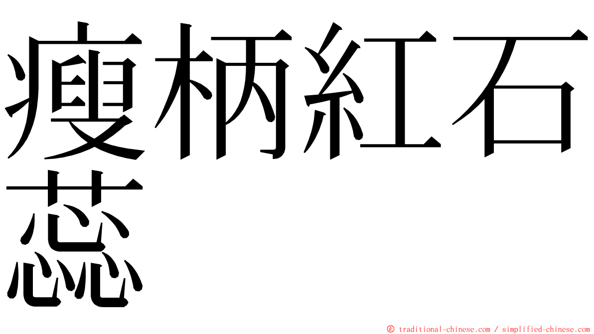 瘦柄紅石蕊 ming font