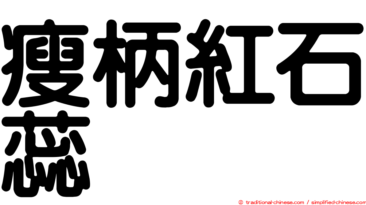 瘦柄紅石蕊