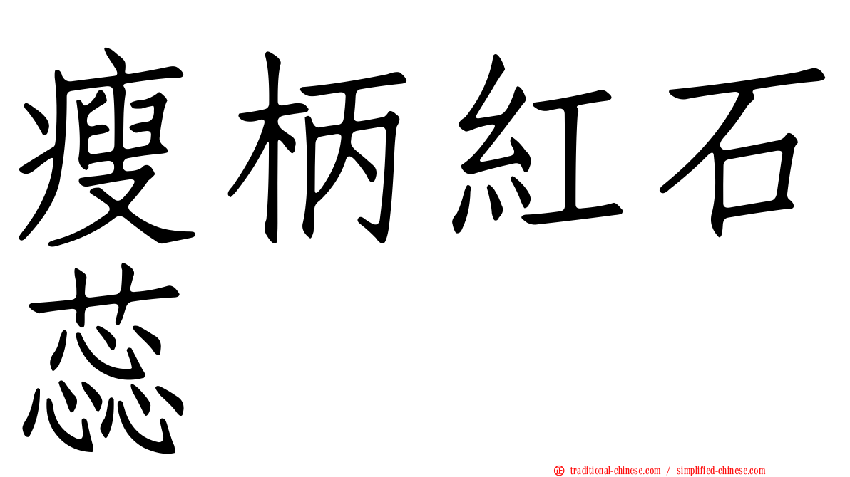 瘦柄紅石蕊