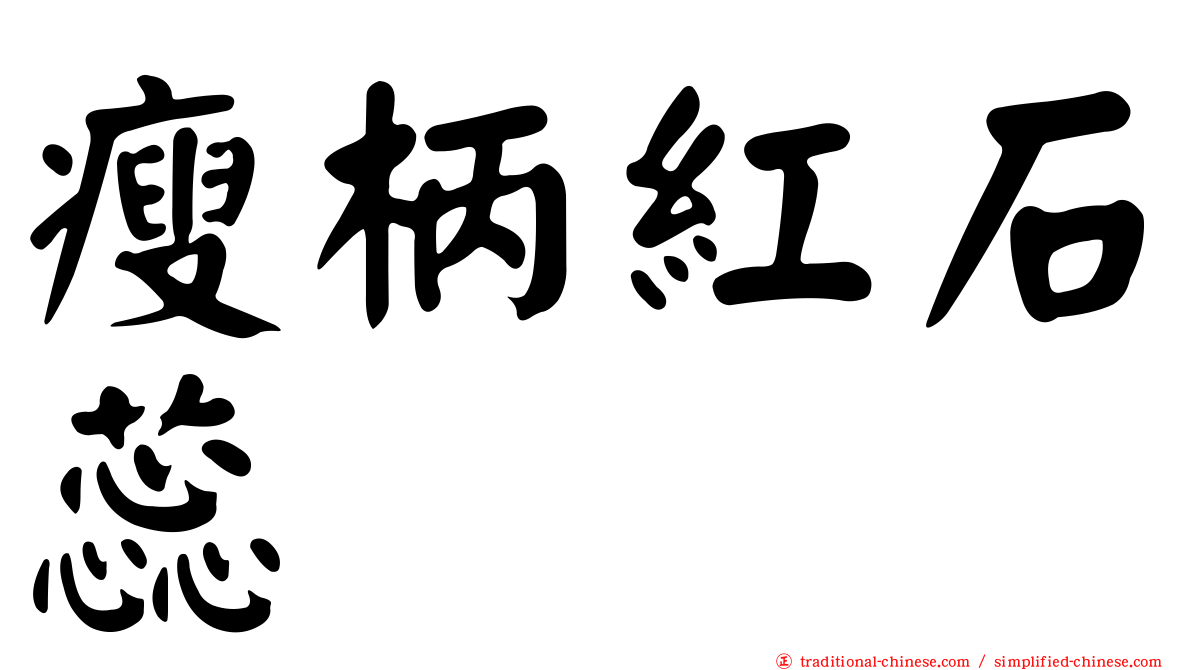 瘦柄紅石蕊