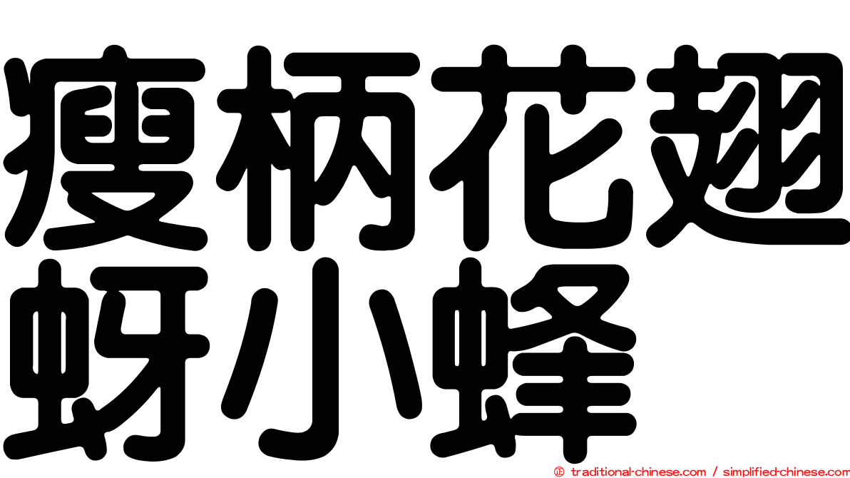 瘦柄花翅蚜小蜂