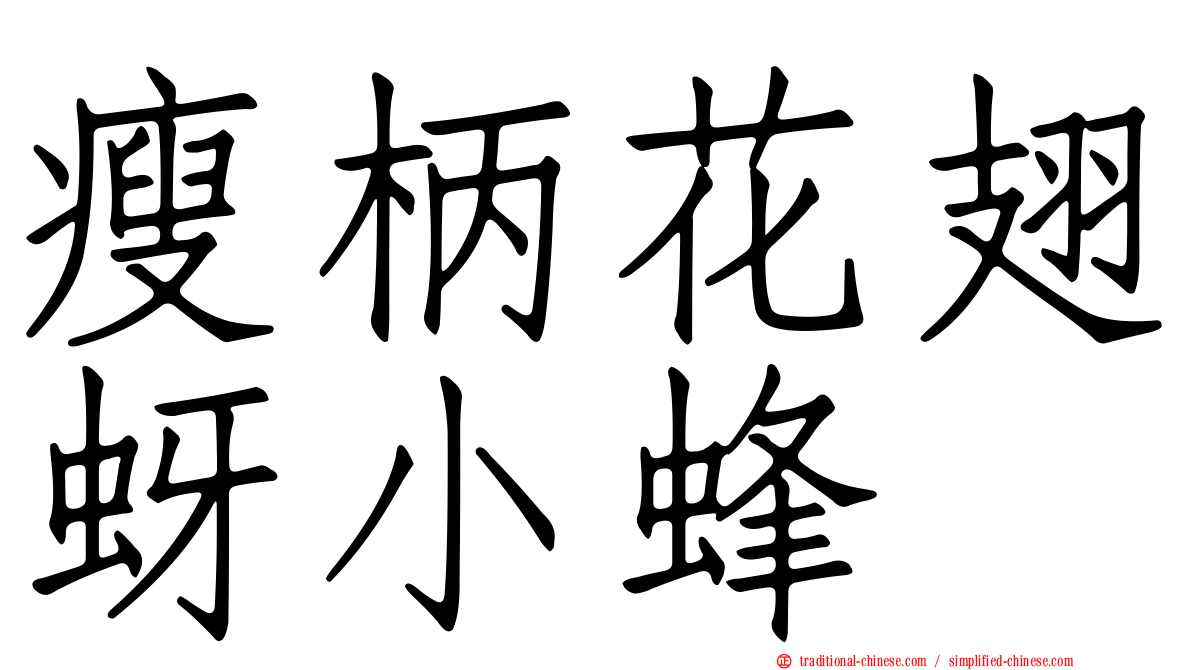 瘦柄花翅蚜小蜂
