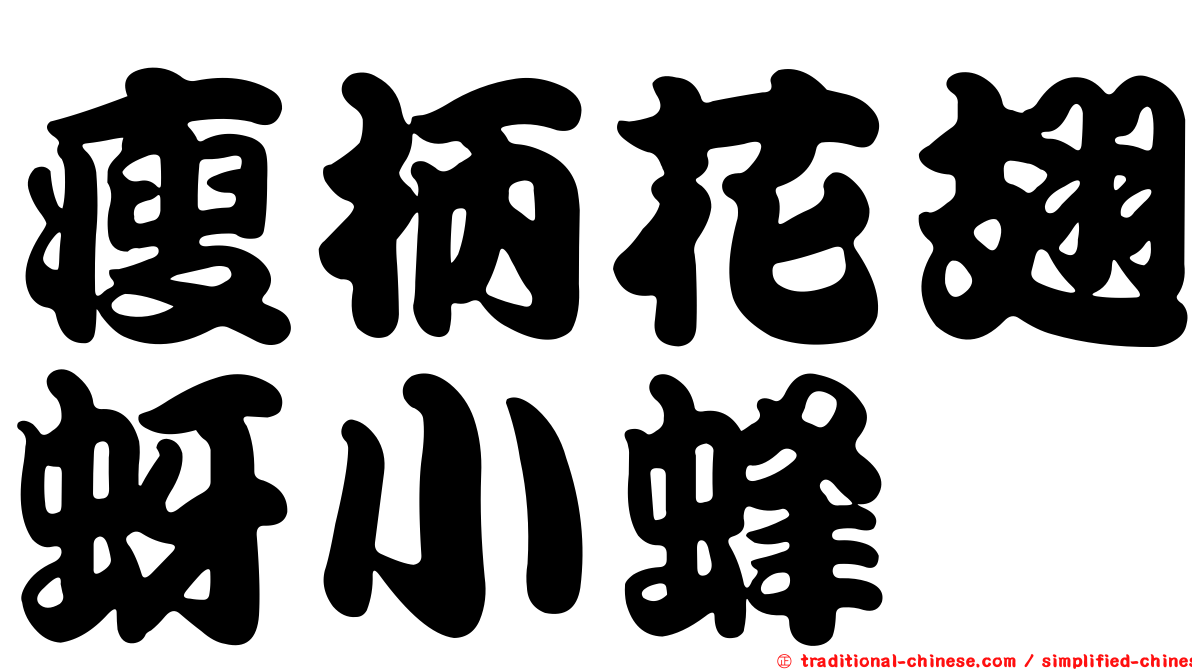 瘦柄花翅蚜小蜂