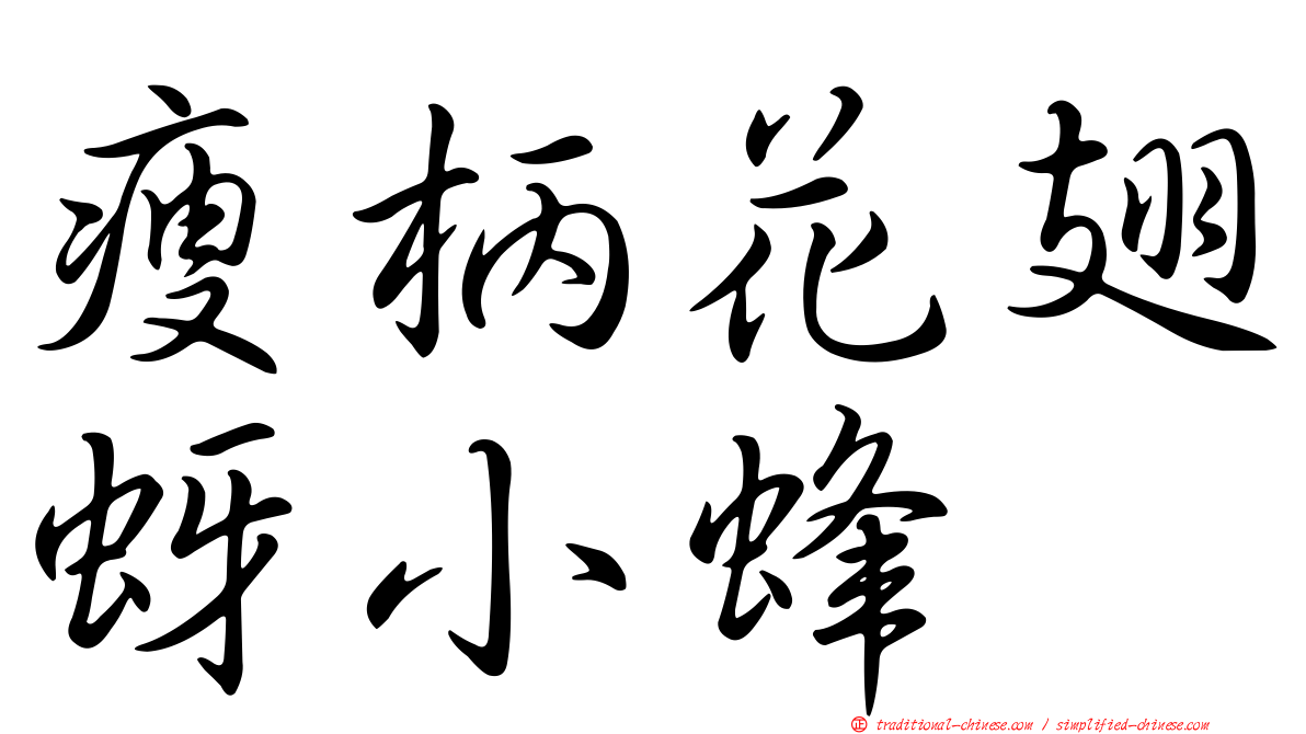 瘦柄花翅蚜小蜂