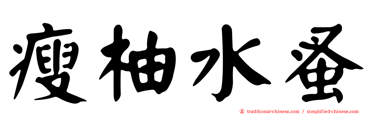 瘦柚水蚤