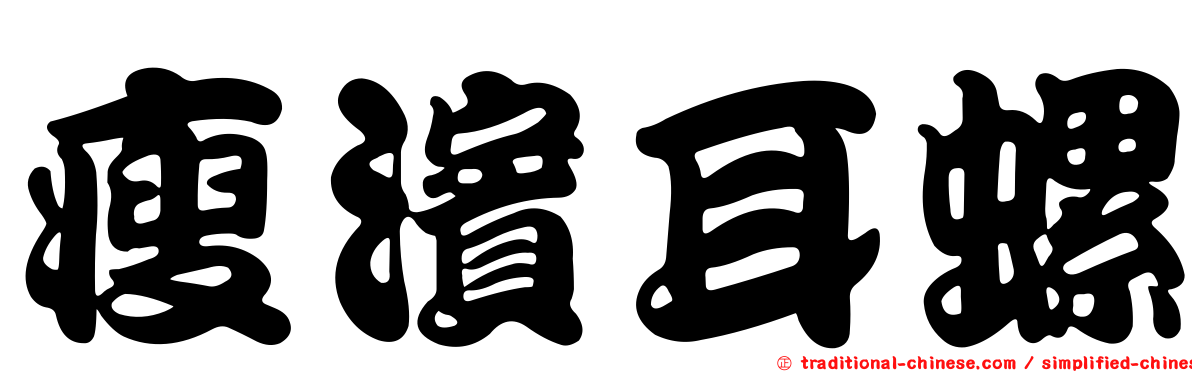 瘦濱耳螺