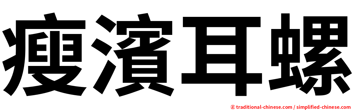 瘦濱耳螺