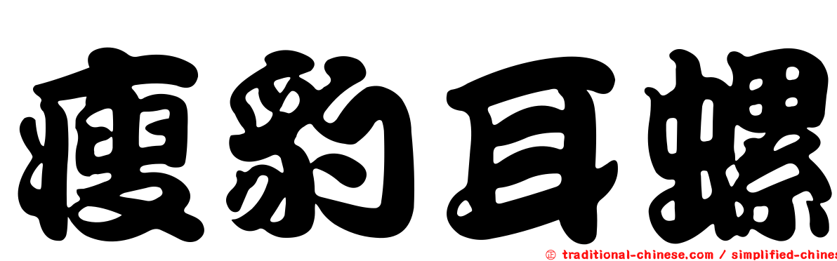 瘦豹耳螺