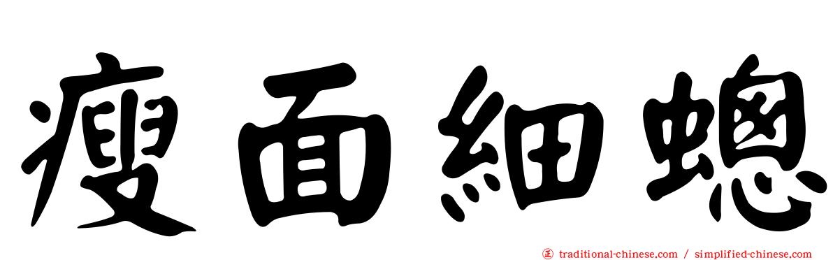 瘦面細蟌