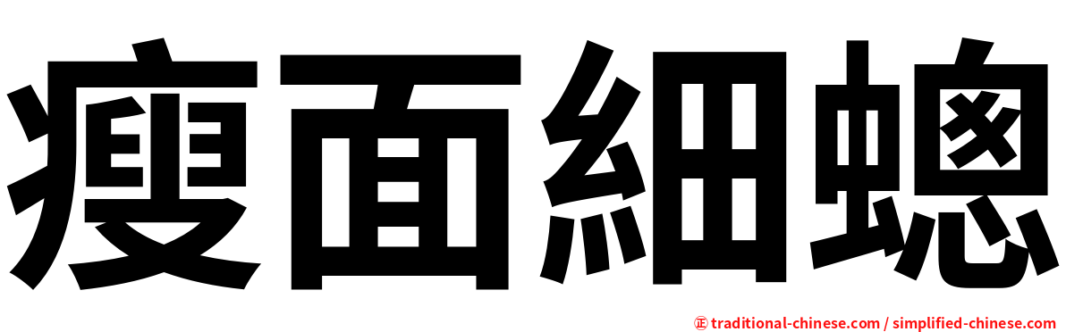 瘦面細蟌