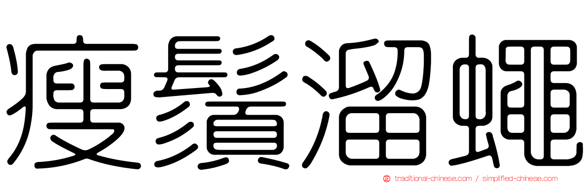瘦鬚溜蠅