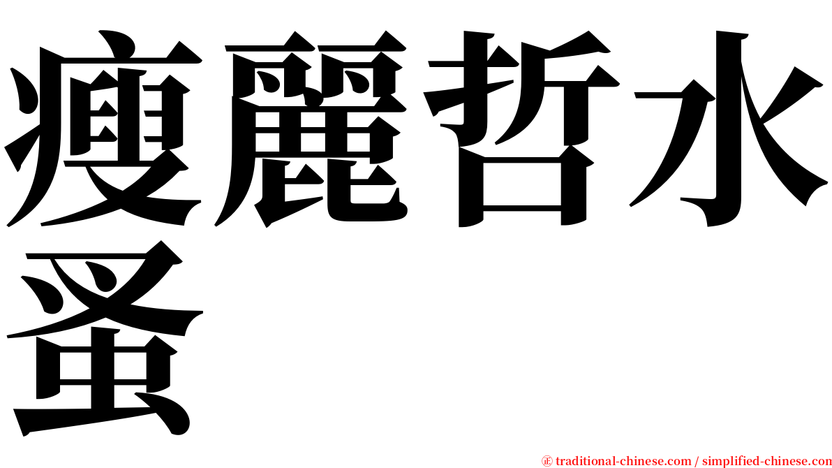 瘦麗哲水蚤 serif font