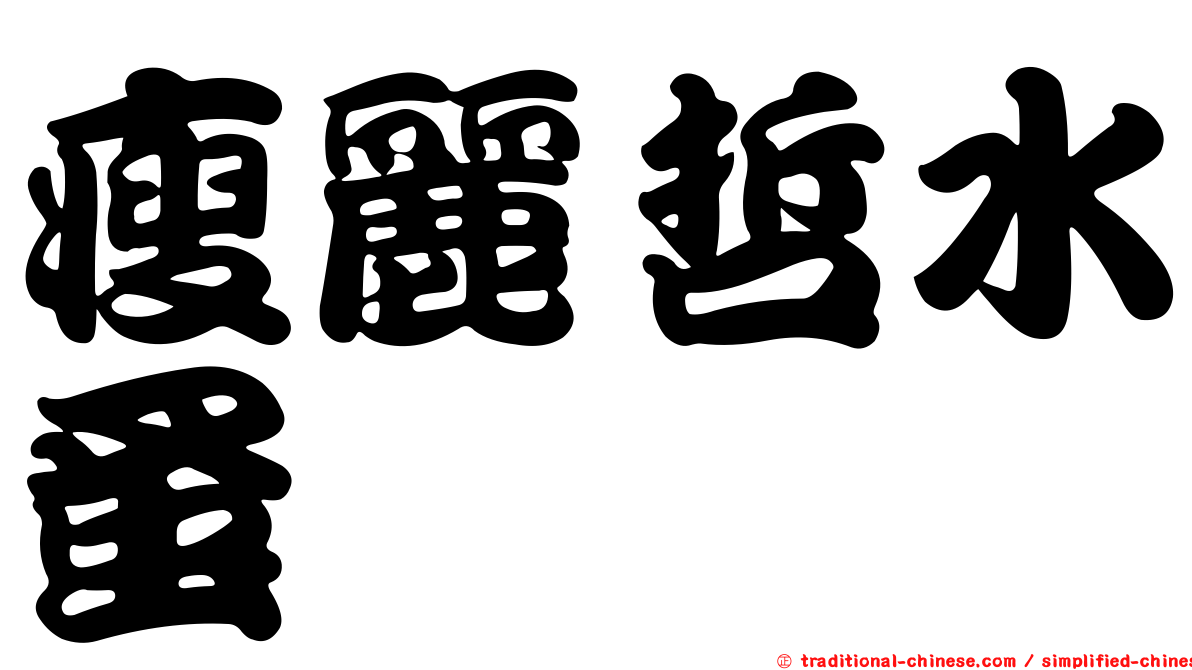 瘦麗哲水蚤