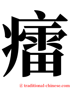 癗 serif font
