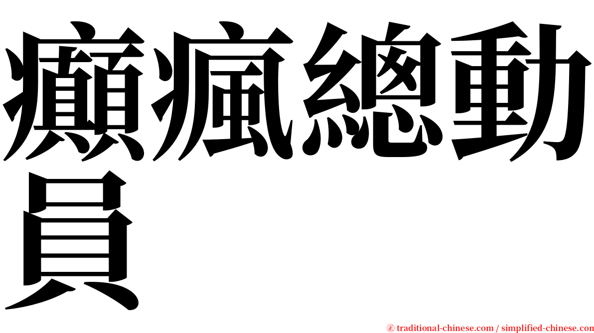 癲瘋總動員 serif font