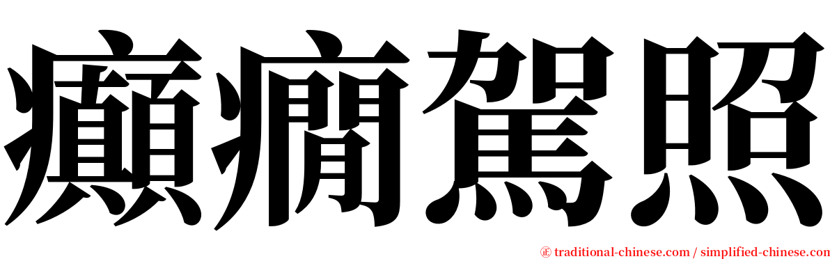 癲癇駕照 serif font