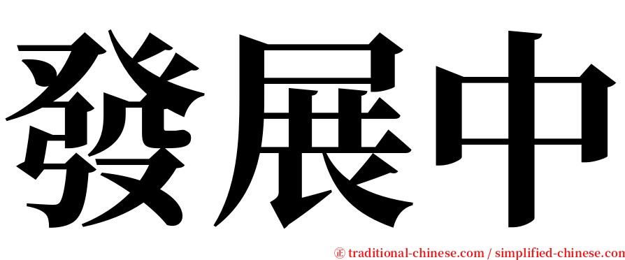 發展中 serif font