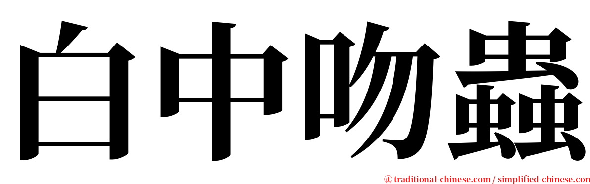 白中吻蟲 serif font