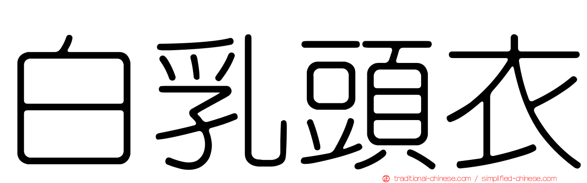 白乳頭衣